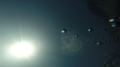 Petar Grimani, Straight to the Bottom, video, 2018