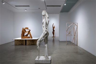 Postav izložbe Kažimira Hraste, foto:Robert Matić