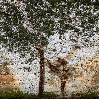 Bez naziva, 2019. 