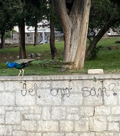 Split, travanj 2023.