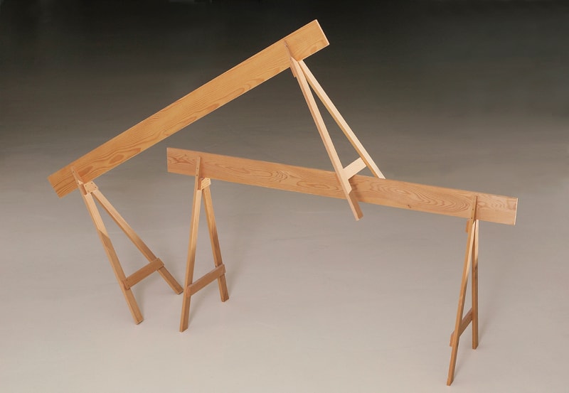 Goats, 2008