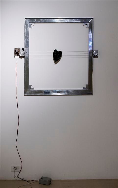 Damir Sokić Ficus, 1997